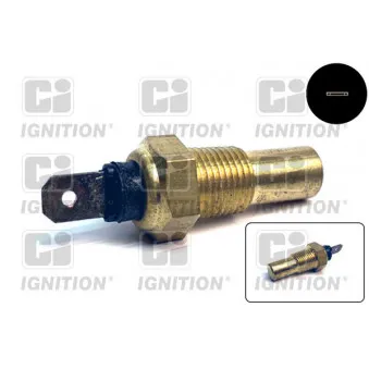 Sonde de température, liquide de refroidissement QUINTON HAZELL XTT45