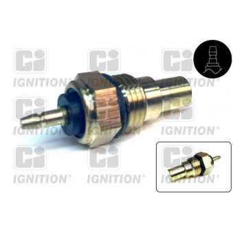 Sonde de température, liquide de refroidissement QUINTON HAZELL XTT5