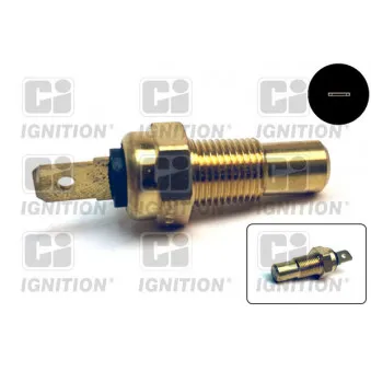 Sonde de température, liquide de refroidissement QUINTON HAZELL XTT51