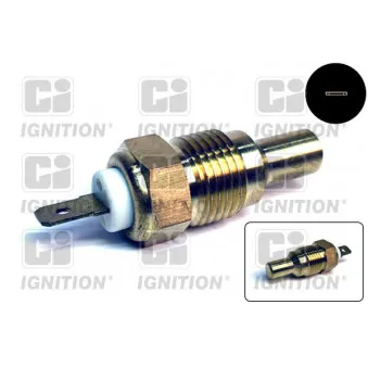 Sonde de température, liquide de refroidissement QUINTON HAZELL XTT59