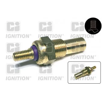 Sonde de température, liquide de refroidissement QUINTON HAZELL XTT71