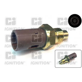 Sonde de température, liquide de refroidissement QUINTON HAZELL XTT78