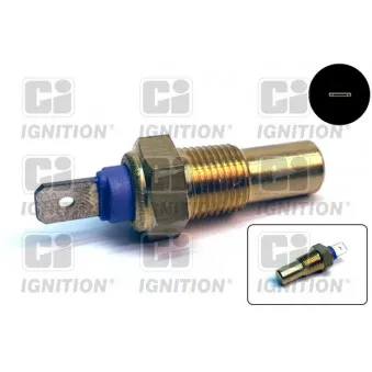 Sonde de température, liquide de refroidissement QUINTON HAZELL XTT8