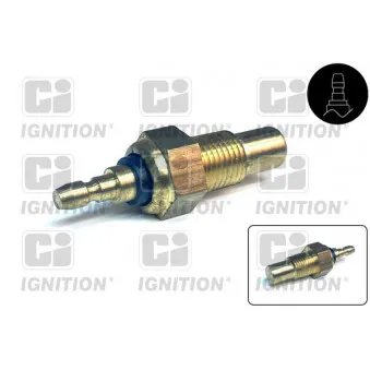 Sonde de température, liquide de refroidissement QUINTON HAZELL XTT83