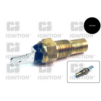 Sonde de température, liquide de refroidissement QUINTON HAZELL XTT84