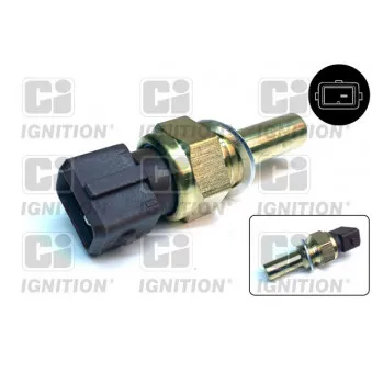 Sonde de température, liquide de refroidissement QUINTON HAZELL XTT89