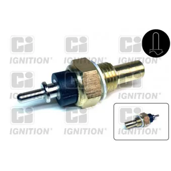 Sonde de température, liquide de refroidissement QUINTON HAZELL XTT95