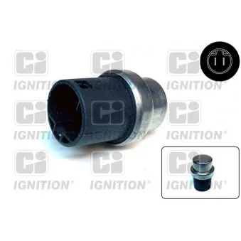 Sonde de température, liquide de refroidissement QUINTON HAZELL XTT98