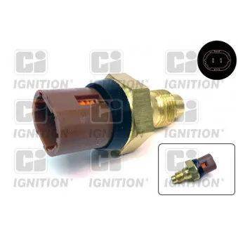 Sonde de température, liquide de refroidissement QUINTON HAZELL XTTS16