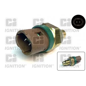Sonde de température, liquide de refroidissement QUINTON HAZELL XTTS20