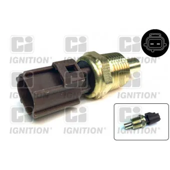 Sonde de température, liquide de refroidissement QUINTON HAZELL XTTS204
