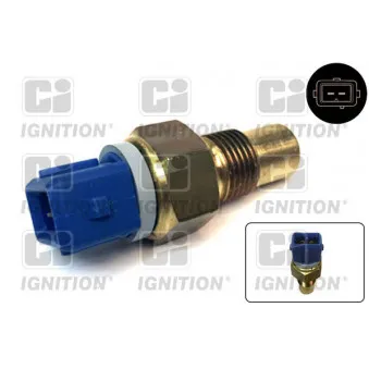 Sonde de température, liquide de refroidissement QUINTON HAZELL XTTS23