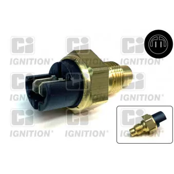 Sonde de température, liquide de refroidissement QUINTON HAZELL XTTS35