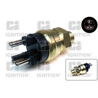 Sonde de température, liquide de refroidissement QUINTON HAZELL XTTS38