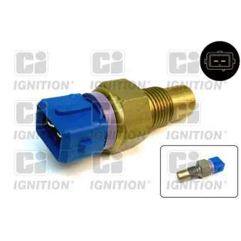 Sonde de température, liquide de refroidissement QUINTON HAZELL XTTS41