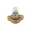 Ampoule, feu clignotant TEKNÖR EZ-PS24W - Visuel 1