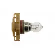 Ampoule, feu clignotant TEKNÖR EZ-PS24W - Visuel 3