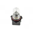 Ampoule, feu clignotant TEKNÖR EZ-P13W - Visuel 1