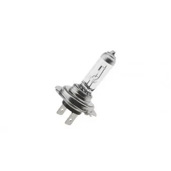 Ampoule, projecteur longue portée TEKNÖR EZ-H7ZLL