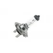 Ampoule, projecteur longue portée TEKNÖR EZ-H712V - Visuel 1