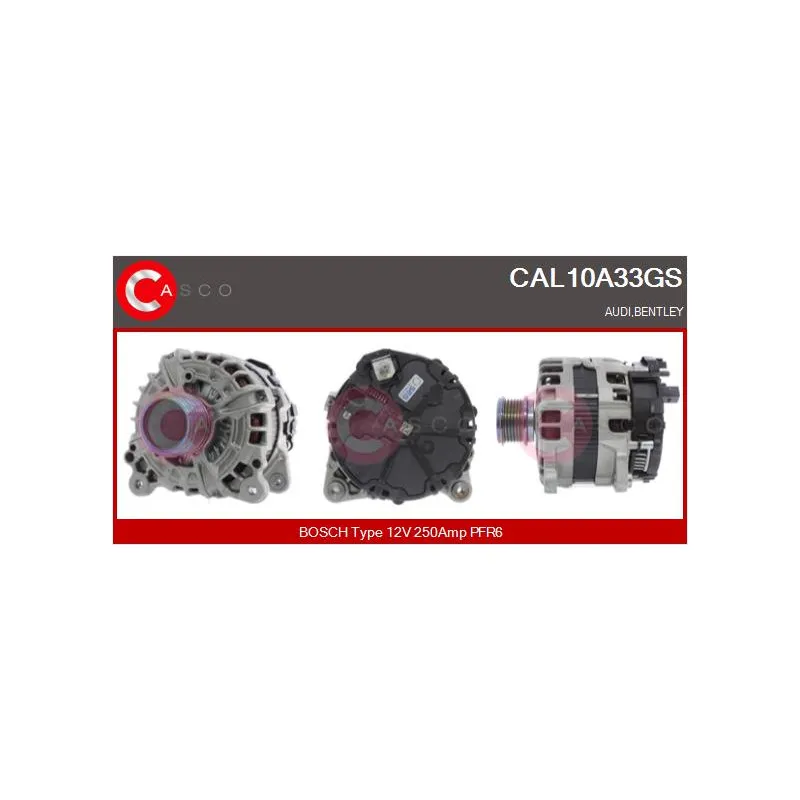 Alternateur CASCO CAL10A33GS