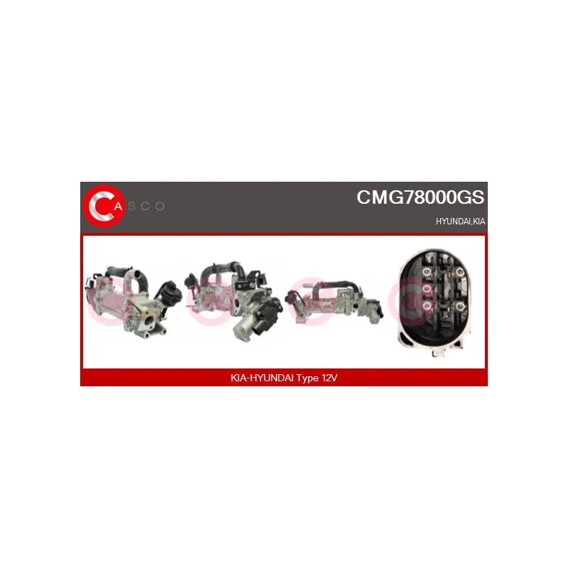 Module-EGR CASCO CMG78000GS