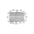 Radiateur d'huile AVA QUALITY COOLING AL3153 - Visuel 1