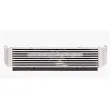 Intercooler, échangeur AVA QUALITY COOLING AU4335 - Visuel 2