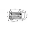 Radiateur d'huile AVA QUALITY COOLING BW3622 - Visuel 1