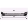 Intercooler, échangeur AVA QUALITY COOLING BW4579 - Visuel 1