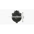Moteur électrique, pulseur d'air habitacle AVA QUALITY COOLING BW8605 - Visuel 2