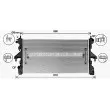 Radiateur, refroidissement du moteur AVA QUALITY COOLING CN2320 - Visuel 1