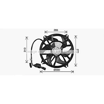 Ventilateur, refroidissement du moteur AVA QUALITY COOLING CN7556