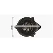 Moteur électrique, pulseur d'air habitacle AVA QUALITY COOLING CN8315 - Visuel 2