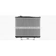 Radiateur, refroidissement du moteur AVA QUALITY COOLING DN2464 - Visuel 2