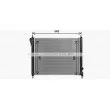 Radiateur, refroidissement du moteur AVA QUALITY COOLING DN2470 - Visuel 2