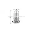 Filtre déshydratant, climatisation AVA QUALITY COOLING DWD437 - Visuel 1