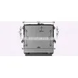 Radiateur, refroidissement du moteur AVA QUALITY COOLING FD2660 - Visuel 1