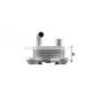Radiateur d'huile AVA QUALITY COOLING FD3680 - Visuel 3