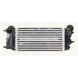 Intercooler, échangeur AVA QUALITY COOLING FD4658 - Visuel 2