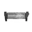 Intercooler, échangeur AVA QUALITY COOLING FD4697 - Visuel 2