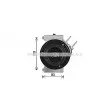 Compresseur, climatisation AVA QUALITY COOLING FDAK682 - Visuel 2