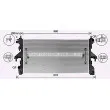 Radiateur, refroidissement du moteur AVA QUALITY COOLING FT2481 - Visuel 1