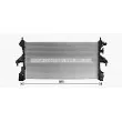 Radiateur, refroidissement du moteur AVA QUALITY COOLING FT2481 - Visuel 2