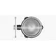 Moteur électrique, pulseur d'air habitacle AVA QUALITY COOLING HD8327 - Visuel 2
