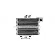 Radiateur d'huile de boîte automatique AVA QUALITY COOLING HY3484 - Visuel 1