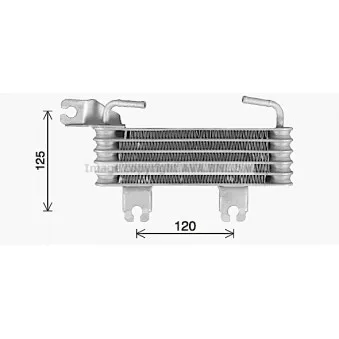 Radiateur d'huile AVA QUALITY COOLING
