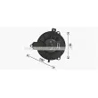 Moteur électrique, pulseur d'air habitacle AVA QUALITY COOLING IV8502 - Visuel 1