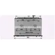 Radiateur, refroidissement du moteur AVA QUALITY COOLING KA2302 - Visuel 1