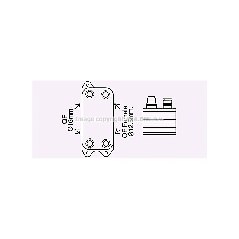 Radiateur d'huile de boîte automatique AVA QUALITY COOLING MS3686